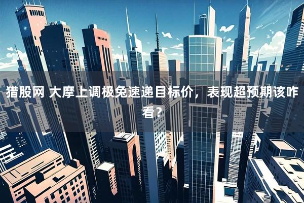 猎股网 大摩上调极兔速递目标价，表现超预期该咋看？