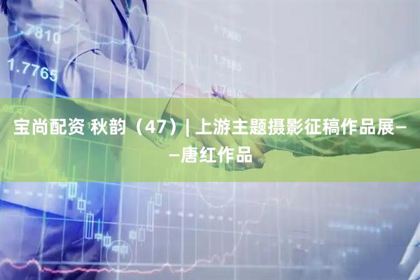 宝尚配资 秋韵（47）| 上游主题摄影征稿作品展——唐红作品