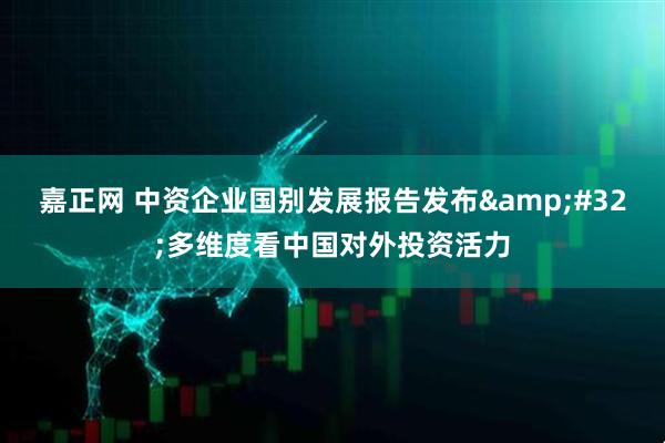 嘉正网 中资企业国别发展报告发布 多维度看中国对外投资活力