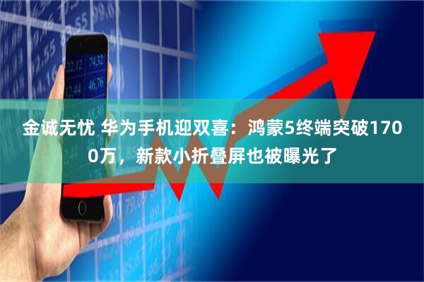 金诚无忧 华为手机迎双喜：鸿蒙5终端突破1700万，新款小折叠屏也被曝光了