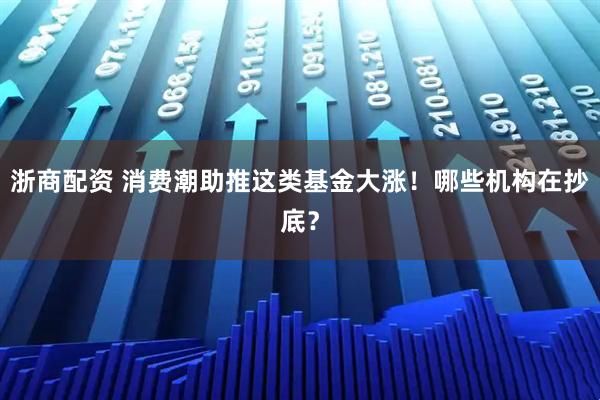 浙商配资 消费潮助推这类基金大涨！哪些机构在抄底？