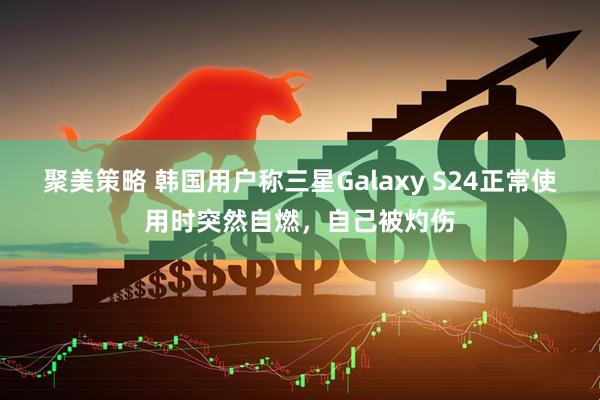 聚美策略 韩国用户称三星Galaxy S24正常使用时突然自燃，自己被灼伤
